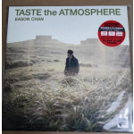 ここちゃんフェアレディイーソンの雰囲気ARS LPレコード盤